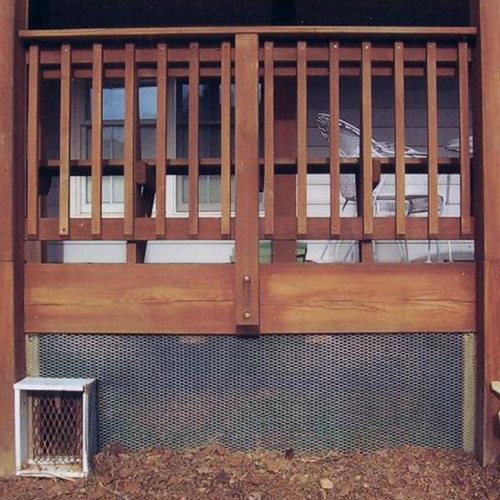 Skunks Under Deck, Patio, Home Porch